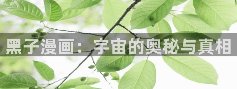 酷漫屋下拉式(免费漫画)-酷漫屋下拉式免费版下载