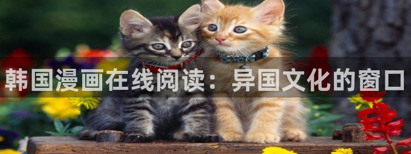 酷漫屋app官方入口